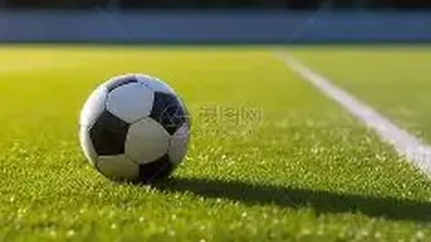 詹皇赞誉声四起：前现队友纷纷点赞其篮球智慧