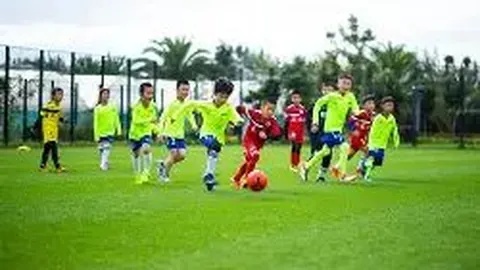 678体育 资讯 091026 i5b