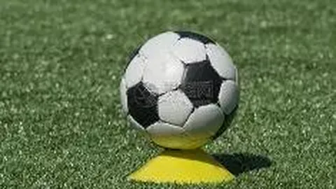 江苏蓝电环保股份有限公司（原泰兴电除尘设备厂）