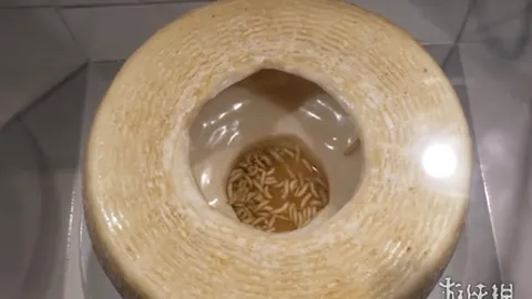 678体育 产品 084233 tnc